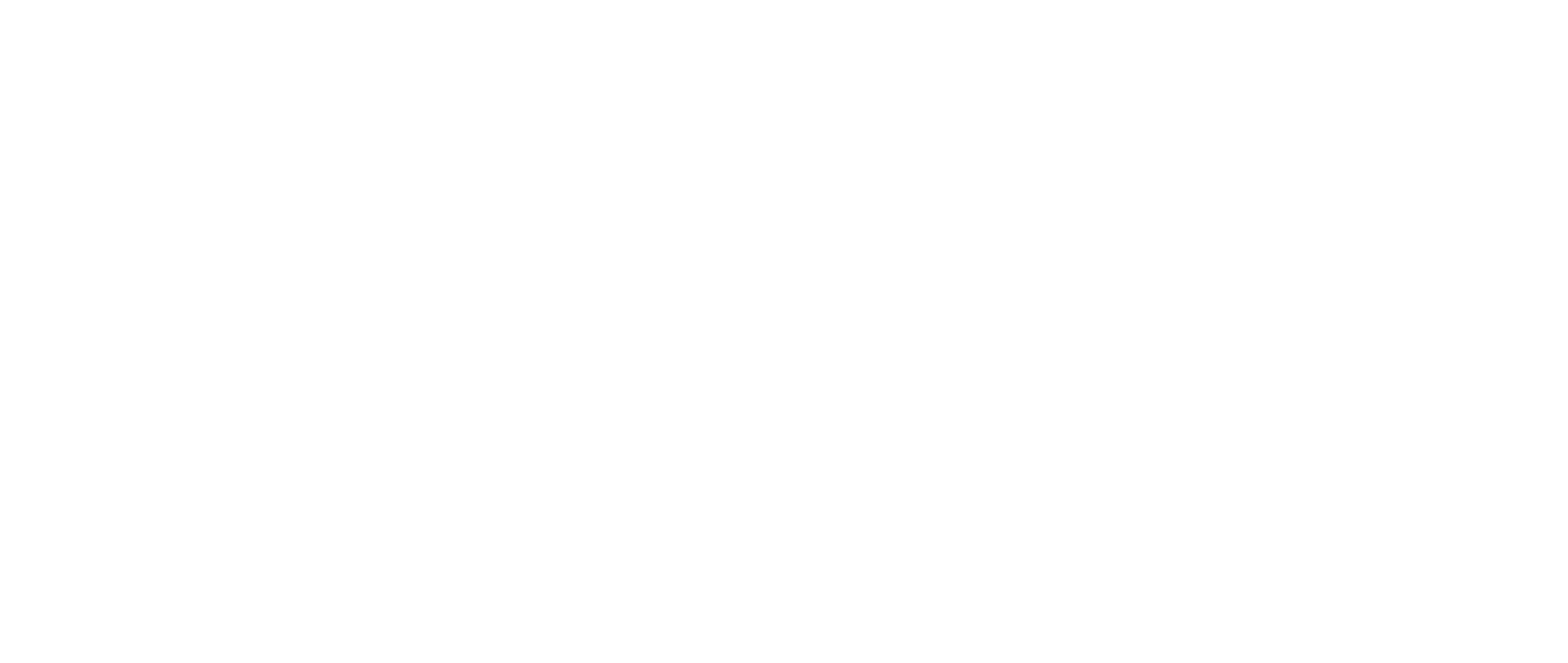 bas-fi-masr-logo